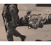 Combat Trauma Care