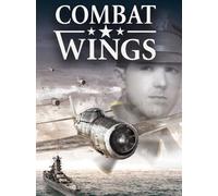 Combat Wings (PC) - Steam Key - GLOBAL