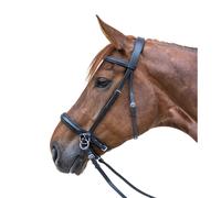 Combined bridle with noseband, without bit Star