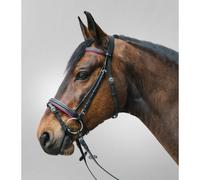Combined noseband bridle Star Diamond