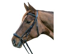 Combined noseband bridle Star Hannover