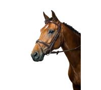 Combined riding bridle and noseband Dy'on