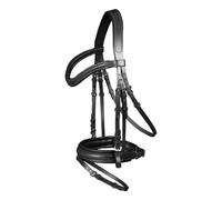 Combined riding bridle and noseband Waldhausen X-Line standard Stockholm