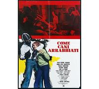 come cani arrabbiati DVD Italian Import
