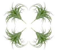 Comebachome Artificial Air Plants 4Pcs 6x5 Realistic Fake Air Plants PE Artificial Succulents Low Maintenance Tillandsia DIY Faux Greenery for Flower Arrangement, Faux Succulents Unpotted