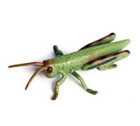 Comebachome Grasshopper Toy & Bug Collection - Highly Detailed Grasshoppers Figures for Kids Learning, Nature Study, Halloween Decor