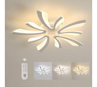 Comely Ceiling Light Dimmable, LED Ceiling Lighting 48W 5400LM, 3000K-6500K, Acrylic Modern Lighting Fixture with Remote Control for Living Room Bedroom, Dia71cm