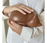 Comemori Sleeping cat funeral urn, Brown, Ginger, Orange