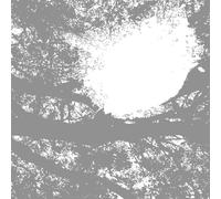 Comets on Fire – Field Recordings From The Sun – Vinyl