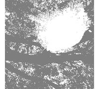 Comets On Fire - Field Recordings from the Sun - Vinyl Record - N3z