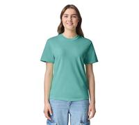 Comfort Colors Men's Adult Tee T-Shirt, Chalky Mint, XXL