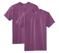 Comfort Colors Unisex's Short Sleeve Tee, Style G1717 T-Shirt, Berry (2-Pack), XL