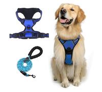 Comfort Dog Harness & Leash Set | Adjustable Padded Vest with Breathable Mesh & Secure Buckles - Front Leash Clip(Blue,L)