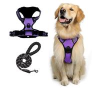 Comfort Dog Harness & Leash Set | Adjustable Padded Vest with Breathable Mesh & Secure Buckles - Front Leash Clip(Purple,M)
