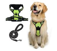 Comfort Dog Harness & Leash Set | Adjustable Padded Vest with Breathable Mesh & Secure Buckles - Front Leash Clip(Green,XL)