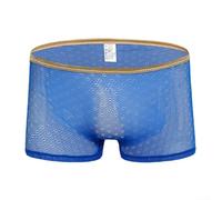 Comfort Fit Men's Underwear See Through Breathable Pouch Underpants Boxer Shorts Trunks for Everyday Wear and Enhanced Comfort (XL Blue)