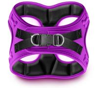 Comfort fit Step-in Dog & Puppy Harness - Comfortable All Weather Dog Vest Harness: Adjustable, Soft Padded, Easy to Put-on for Small, Medium-Sized Dogs.