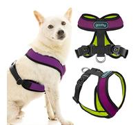Comfort X Harness Dual Snap Mesh, Violet, X-Large