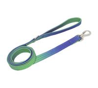 Comfortable Handle Dog Leash, Metal Swivel Lock Hook, 59 in Gradient Nylon, Universal Walking Accessories for All Breeds