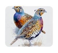 Comfortable Mouse Pad Watercolor Common Quails Gaming Mousepad Desk Mats 25x30cm for Typing,Office,Laptop