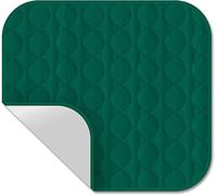 ComfortCare Washable Incontinence Chair Pad - 1 Litre Absorbent Waterproof Seat Protector for Adults & Elderly, Reusable Chair Cover, Green. Size 54 x 58cm.