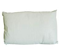 ComfortCare Waterproof Pillows (10)