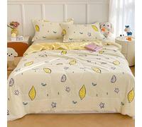 Comforter Thin,Summer Lightweight Floral Quilt,100% Washed Cotton,Machine Washable,Soft Comfy Breathable Can Sleep Naked,Quilt for All Season (C,100x140cm)