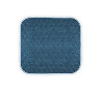 COMFORTNIGHTS, Waterproof Incontinence, Chair Pad/Absorbent Seat Protector Pad: 1 Litre Absorbency for Effective Incontinence Protection for Women Men Adults Kids, Blue, 58 x 53 cms, 22¾” x 20¾”.