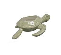 Comfy Hour Ocean Voyage Collection 9" Sea Turtle Succulent Planter Flower Bud Pot Decorative Small Plant Vase, Palegreen, Dolomite
