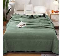 Comfy Sleepers Cooling Blanket, Ice Cooling Calming Blanket, Cooling Blankets for Hot Sleepers, Nuvodreams Silk Cooling Blanket Queen Size (Green,King)