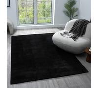 Desire Rugs Comfy Washable Low Pile Living Room Area Rug - Anti-slip Felt Backing Black 060x100cm, Black