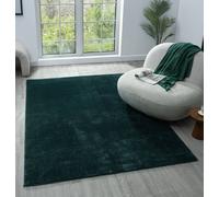 Desire Rugs Comfy Washable Low Pile Living Room Area Rug - Anti-slip Felt Backing Emerald 200x280cm, Green