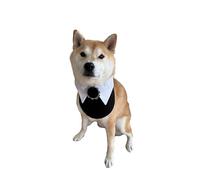 ComfyCamper Dog Gothic Tuxedo Neck Collar Costume - XS XXS XXL Spooky Formal Tux Outfit Cosplay Halloween, XL