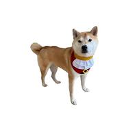 ComfyCamper Pirate Costume Dogs - XS XXL Collar Outfit Shirt Funny Cosplay Ship Captain Costumes Halloween, S