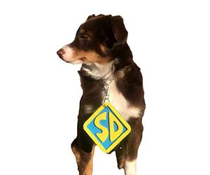 ComfyCamper SD Dog Halloween Costume Collar Tag for Small Medium Large Dog Puppy Puppies Cat Clip-On Pet Cosplay Outfit, Large