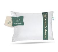Goose Down Travel Pillow - Filled with 800 Fill Power European Goose Down, Egyptian 300 Thread Count 100% Cotton Cover for Plane car & Home - Made in USA (13" x 18")