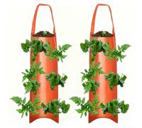 ComfyHarbor 2 Pack Upside Down Strawberry Grow Bags, Hanging Liners, For Tomatoes Peppers Herbs, Space Saving Vertical Garden Pockets with Drainage, Weather Resistant(F)