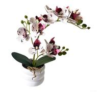 Comgooldool 12-Bloom Artificial Phalaenopsis Orchid In White Wave Pot, Realistic Faux Butterfly Orchid For Home Office Decor, 9.45 Inch Plastic Fake Flower Arrangement(White-spotted Purple)