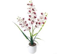 Comgooldool 27-Flower Artificial Orchid 20.87in White Pot | 27 vivid blooms, 20.87in total height, lifelike fabric petals, white ribbed pot, no watering needed(White-spotted Purple)