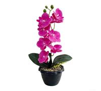 Comgooldool Artificial Phalaenopsis Orchid 35cm Realistic Bloom Black Pot