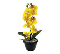 Comgooldool Artificial Phalaenopsis Orchid 35cm Realistic Bloom Black Pot