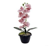 Comgooldool Artificial Phalaenopsis Orchid 35cm Realistic Bloom Black Pot