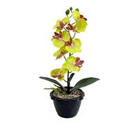 Comgooldool Artificial Phalaenopsis Orchid 35cm Realistic Bloom Black Pot
