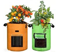 Comgooldool Dual Window Plant Growth Bags Breathable Felt Fabric For Healthy Roots, 2-Pack Potato Planting Pots With Handles For Carrots Vegetables, Space Saving Garden Containers(Mix-M)