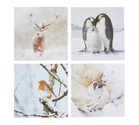 Comic Relief Pack of 24 Photographic Animals Christmas Cards