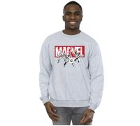 Comics Hero Group Sweatshirt Marvel Grey XXL