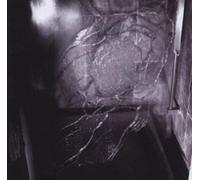 Comity - ...As Everything Is A Tragedy