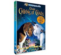 Comme chiens et chats [DVD] [2001]