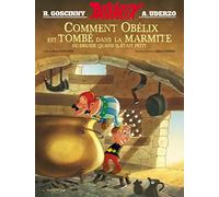 Comment Obelix est tombe dans la marmite du druide...: Album illustré (Asterix)