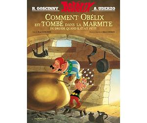Comment Obelix est tombe dans la marmite du druide...: Album illustré (Asterix)